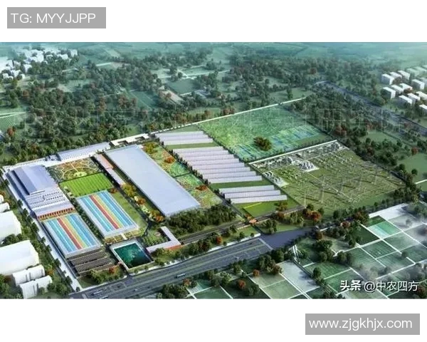杭州乒乓球队转型升级的全新探索与发展之路 杭州乒乓球队转型升级的全新探索与发展之路