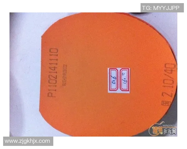 广州乒乓球队力量表现数据分析揭示运动员潜力与训练效果的深度关系 广州乒乓球队力量表现数据分析揭示运动员潜力与训练效果的深度关系