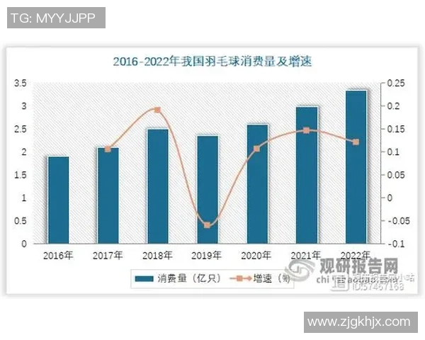 杭州羽毛球队的节奏变革引发热议推动运动发展新趋势 杭州羽毛球队的节奏变革引发热议推动运动发展新趋势