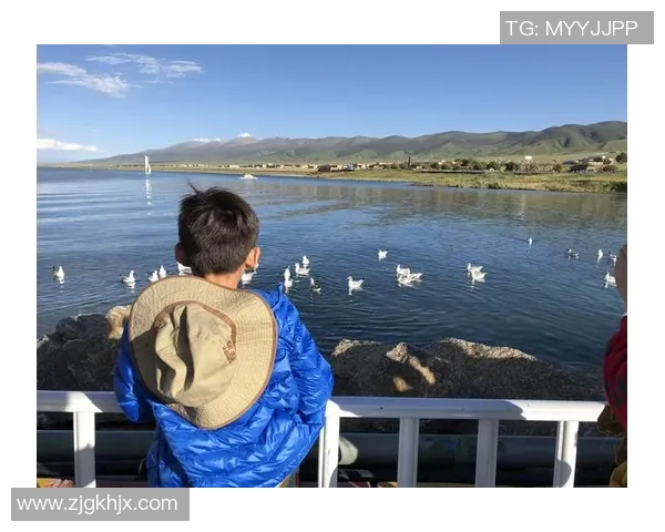 重庆乒乓球队区域防守革新之路探索与实践的深度分析